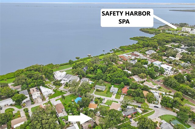 1050 Conant Ave, Safety Harbor, FL 34695 - photo 5