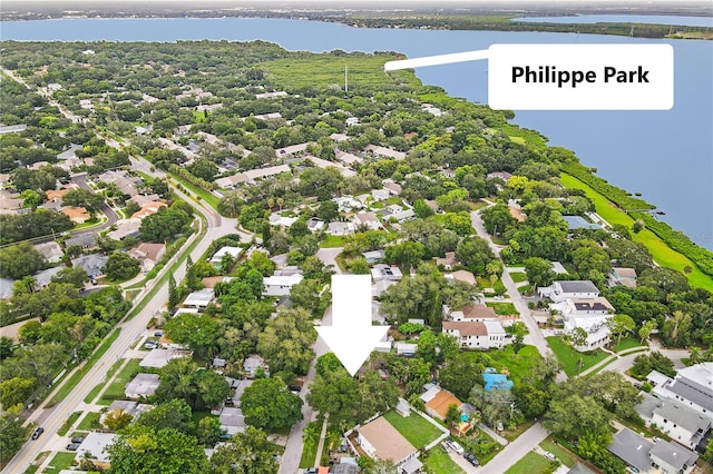 1050 Conant Ave, Safety Harbor, FL 34695 - photo 6
