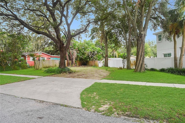 1050 Conant Ave, Safety Harbor, FL 34695 - photo 10