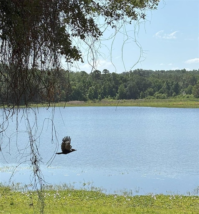 Church Rd, Brooksville, FL 34602 - photo 3