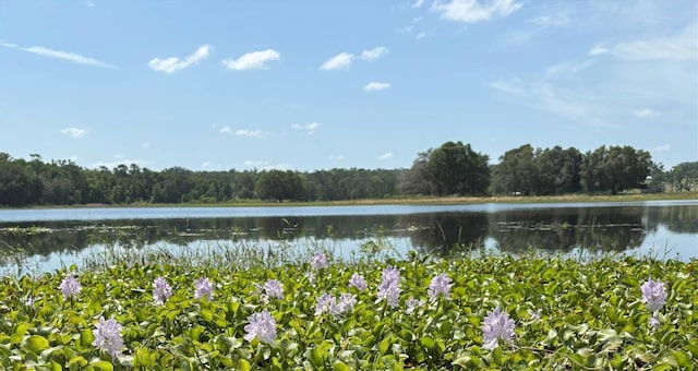 Church Rd, Brooksville, FL 34602 - photo 4