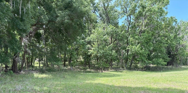 Church Rd, Brooksville, FL 34602 - photo 9