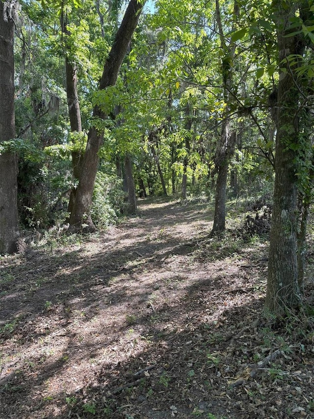 Church Rd, Brooksville, FL 34602 - photo 11