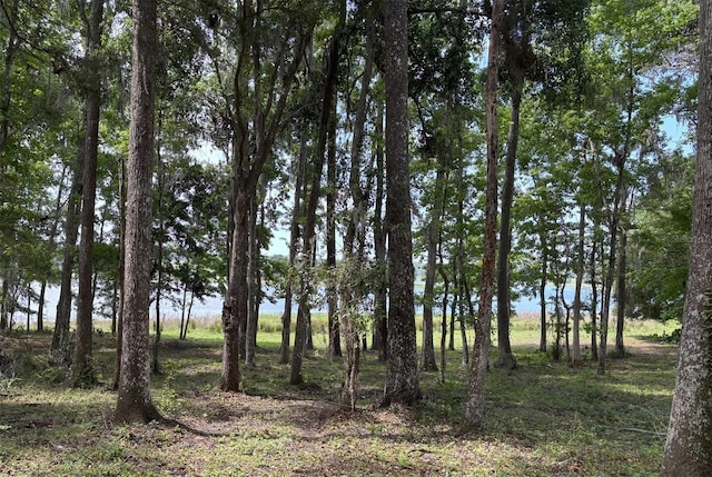 Church Rd, Brooksville, FL 34602 - photo 12