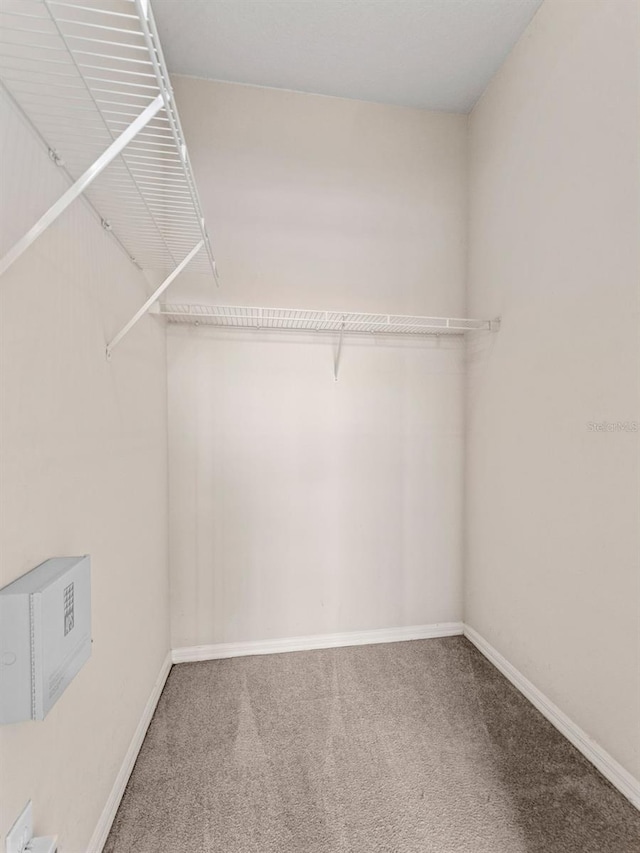 18107 Peregrines Perch Pl Unit 6302, Lutz, FL 33558 - walk in closet featuring carpet floors