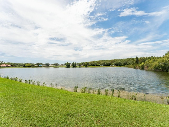 18107 Peregrines Perch Pl Unit 6302, Lutz, FL 33558 - water view