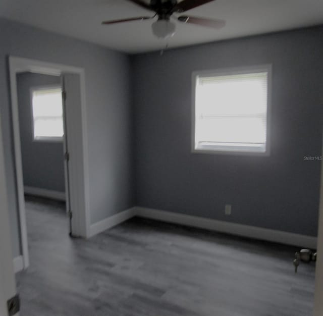 9313 N Elmer St, Tampa, FL 33612 - photo 8