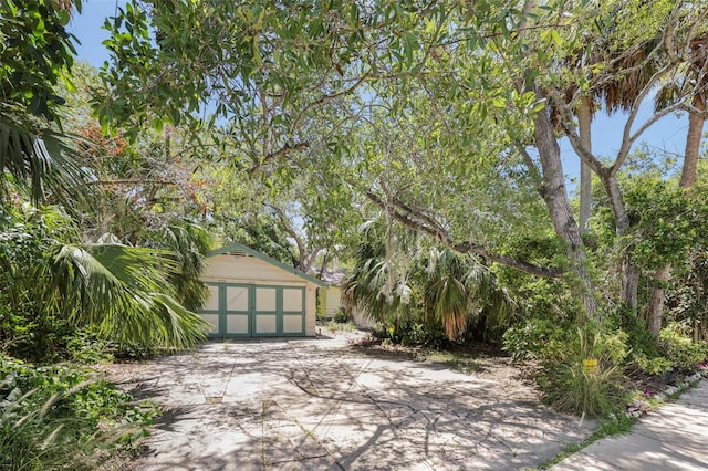 300 President St, Dunedin, FL 34698 - photo 11
