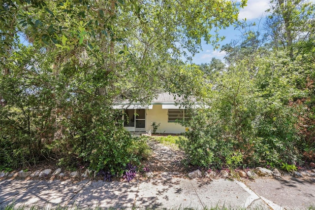 300 President St, Dunedin, FL 34698 - photo 13