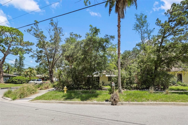 300 President St, Dunedin, FL 34698 - photo 14