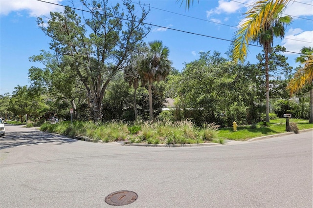 300 President St, Dunedin, FL 34698 - photo 15