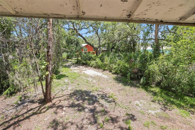 300 President St, Dunedin, FL 34698 - photo 46