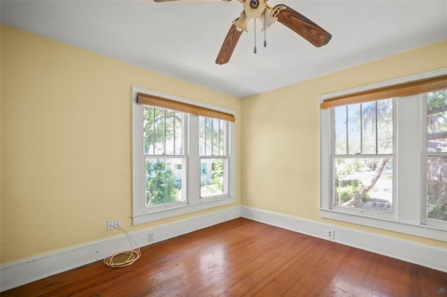 300 President St, Dunedin, FL 34698 - photo 49