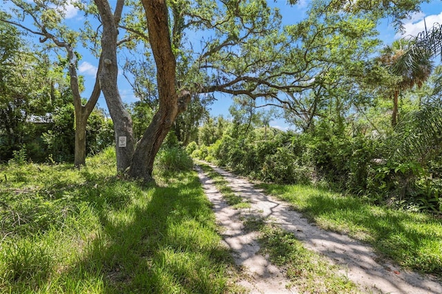 300 President St, Dunedin, FL 34698 - photo 58