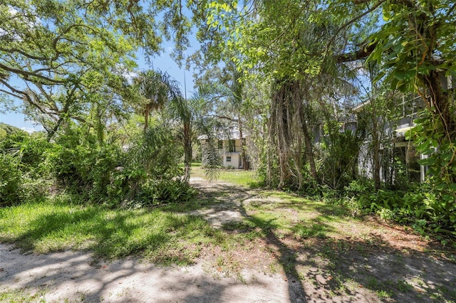300 President St, Dunedin, FL 34698 - photo 59
