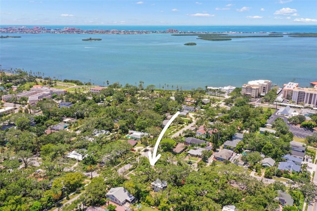 300 President St, Dunedin, FL 34698 - photo 61