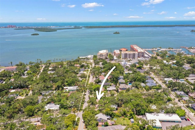 300 President St, Dunedin, FL 34698 - photo 63