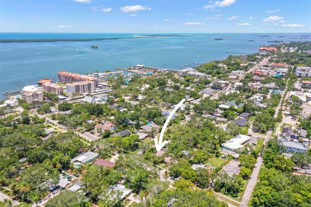 300 President St, Dunedin, FL 34698 - photo 64