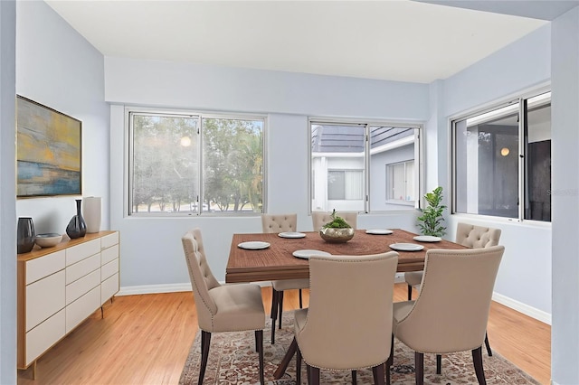 8651 10th St N Unit 210, Saint Petersburg, FL 33702 - photo 5