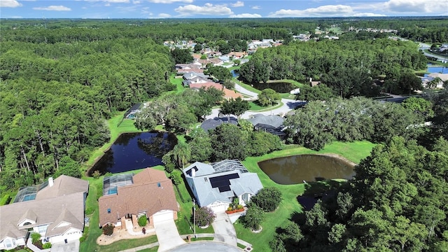 5135 Musselshell Dr, New Port Richey, FL 34655 - photo 42