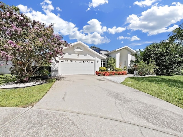 5135 Musselshell Dr, New Port Richey, FL 34655 - photo 47