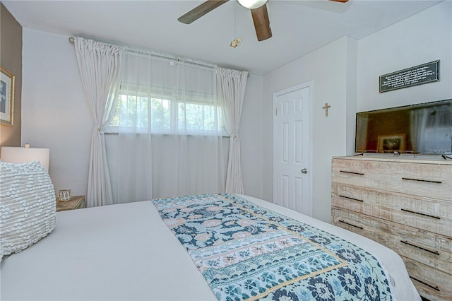 2925 W Ellis Dr, Tampa, FL 33611 - photo 16