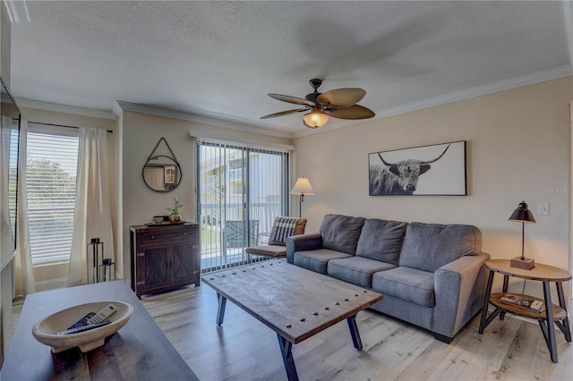 455 Alt 19 S Unit 189, Palm Harbor, FL 34683 - photo 9
