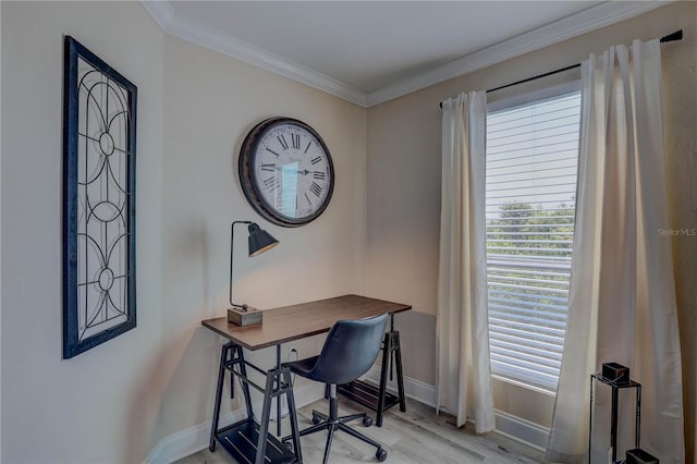 455 Alt 19 S Unit 189, Palm Harbor, FL 34683 - photo 12