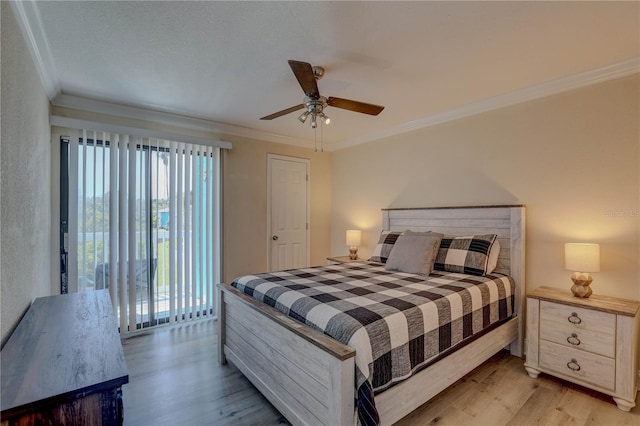 455 Alt 19 S Unit 189, Palm Harbor, FL 34683 - photo 35