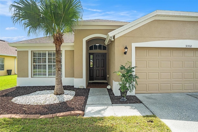 31502 Chatterly Dr, Wesley Chapel, FL 33543 - photo 25
