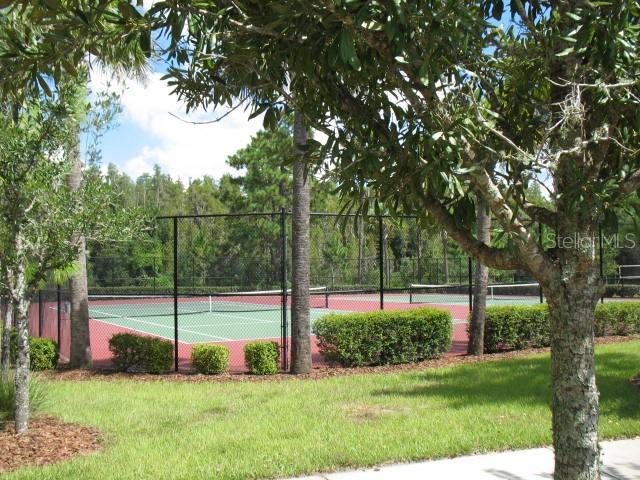 31502 Chatterly Dr, Wesley Chapel, FL 33543 - photo 33