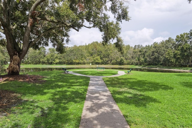 4735 Dunnie Dr, Tampa, FL 33614 - photo 32