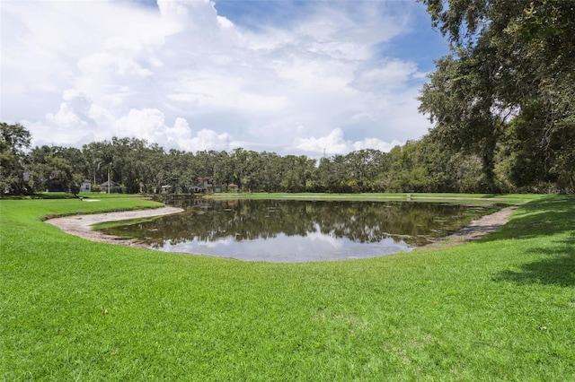 4735 Dunnie Dr, Tampa, FL 33614 - photo 34