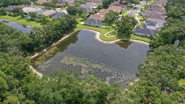4735 Dunnie Dr, Tampa, FL 33614 - photo 35