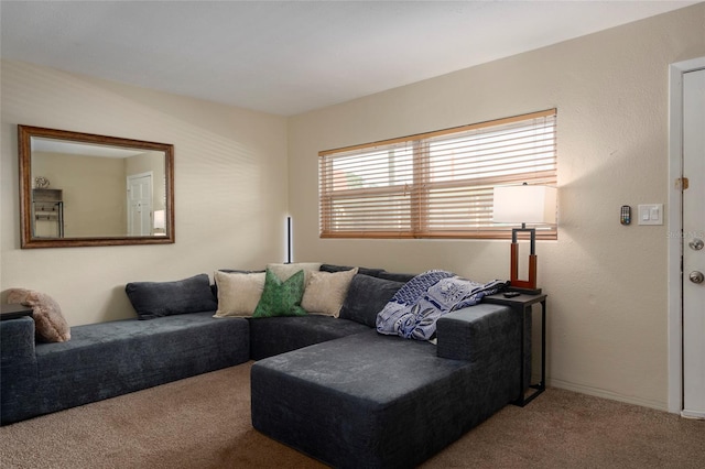 5912 5th Ave N Unit E9, Saint Petersburg, FL 33710 - photo 3