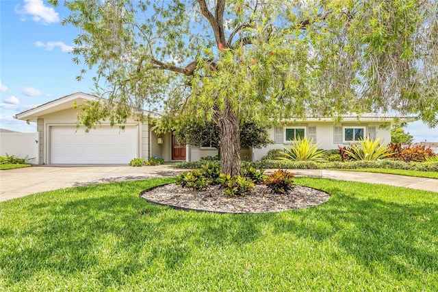 4201 10th St NE, Saint Petersburg, FL 33703 - photo 3