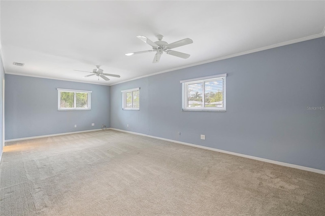 4201 10th St NE, Saint Petersburg, FL 33703 - photo 26