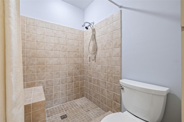 4201 10th St NE, Saint Petersburg, FL 33703 - photo 29