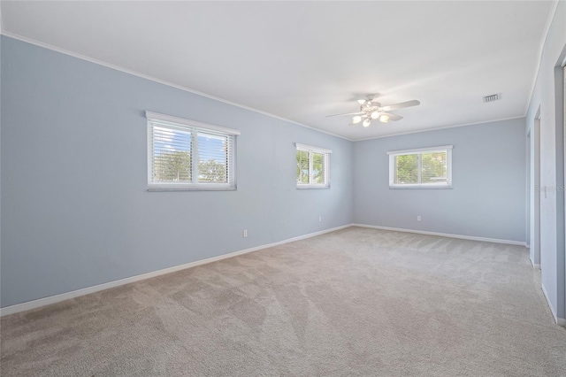 4201 10th St NE, Saint Petersburg, FL 33703 - photo 33