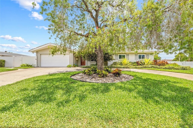 4201 10th St NE, Saint Petersburg, FL 33703 - photo 49