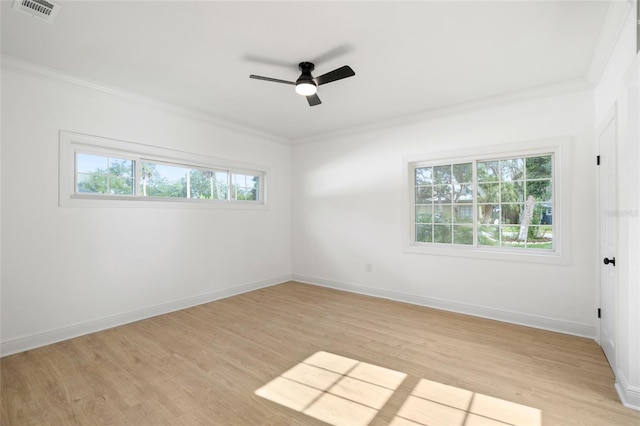 5538 Indiana Ave, New Port Richey, FL 34652 - photo 24