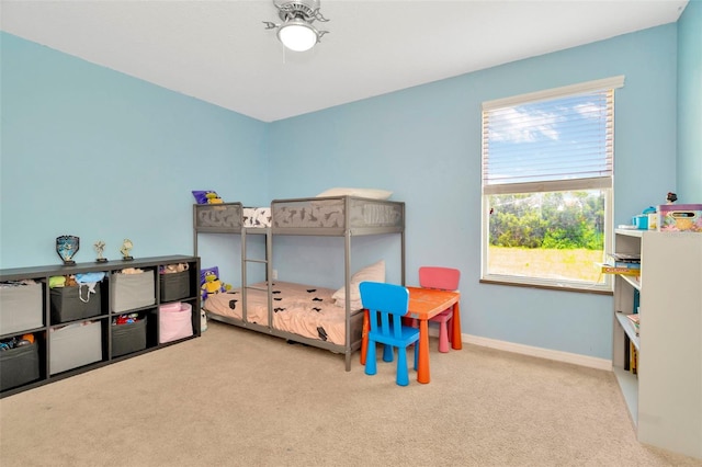 313 Shell Manor Dr, Ruskin, FL 33570 - photo 24