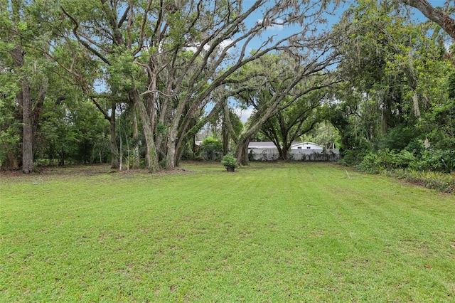 36426 Monroe Dr, Zephyrhills, FL 33541 - photo 43