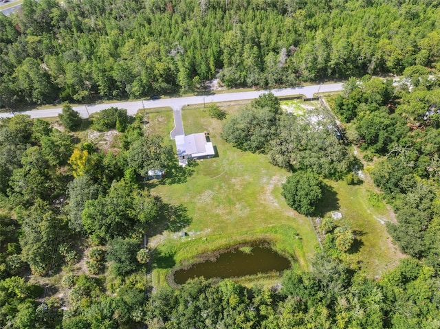 9536 Gladwin Ave, Hudson, FL 34667 - photo 2