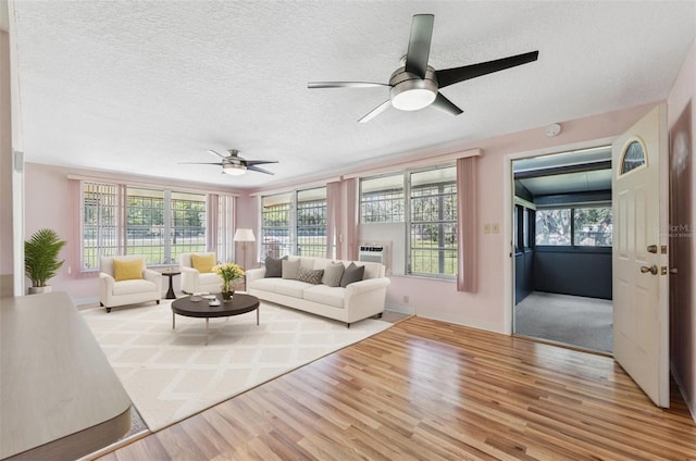 9536 Gladwin Ave, Hudson, FL 34667 - photo 8