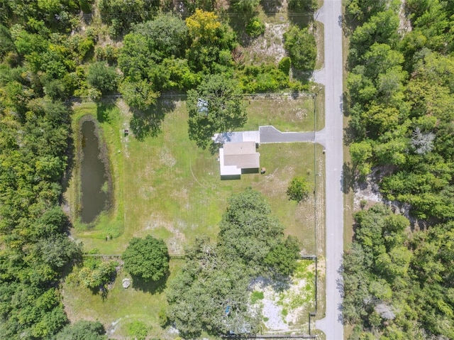 9536 Gladwin Ave, Hudson, FL 34667 - photo 17