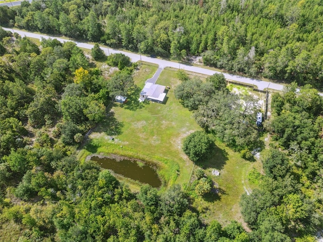 9536 Gladwin Ave, Hudson, FL 34667 - photo 26