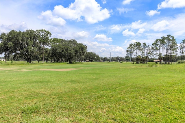 6549 Brentwood Dr, Zephyrhills, FL 33542 - photo 29