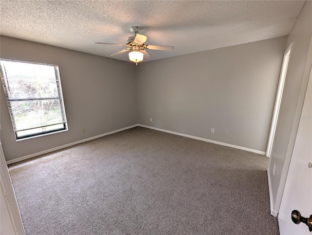 4139 Yellowwood Dr, Valrico, FL 33594 - photo 14