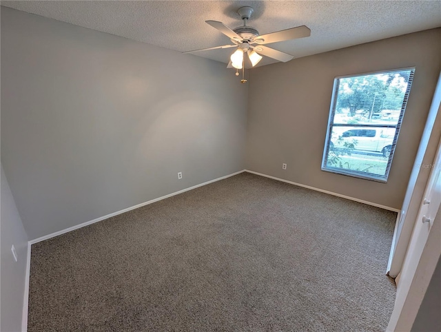 4139 Yellowwood Dr, Valrico, FL 33594 - photo 17